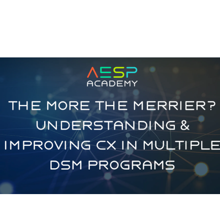 The More the Merrier? Understanding & Improving CX in Multiple DSM Programs